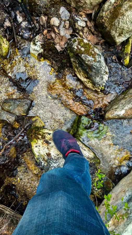 Kemping Cvetok Pod Snegom Chužir Exteriér fotografie