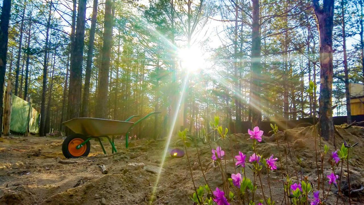 Kemping Cvetok Pod Snegom Chužir Exteriér fotografie