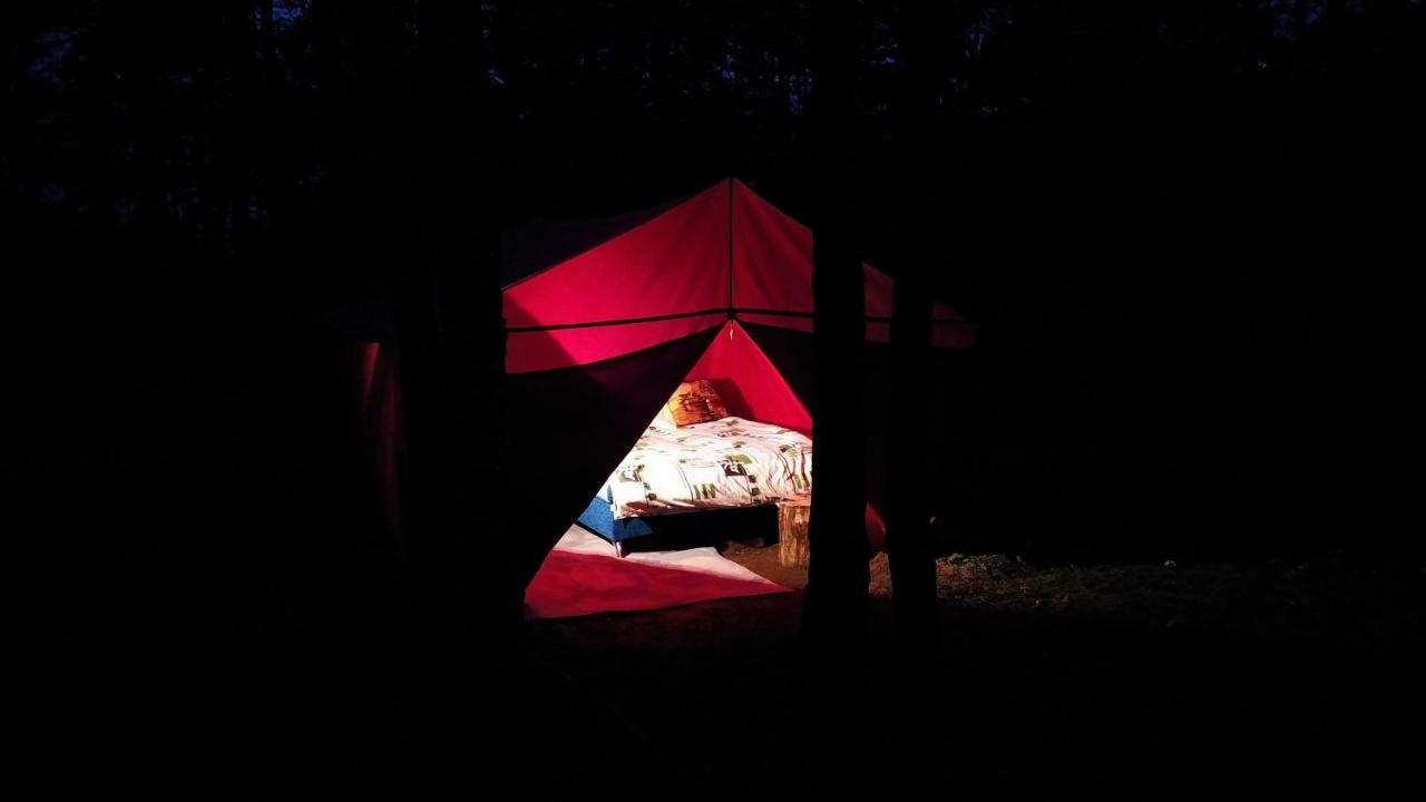 Kemping Cvetok Pod Snegom Chužir Exteriér fotografie